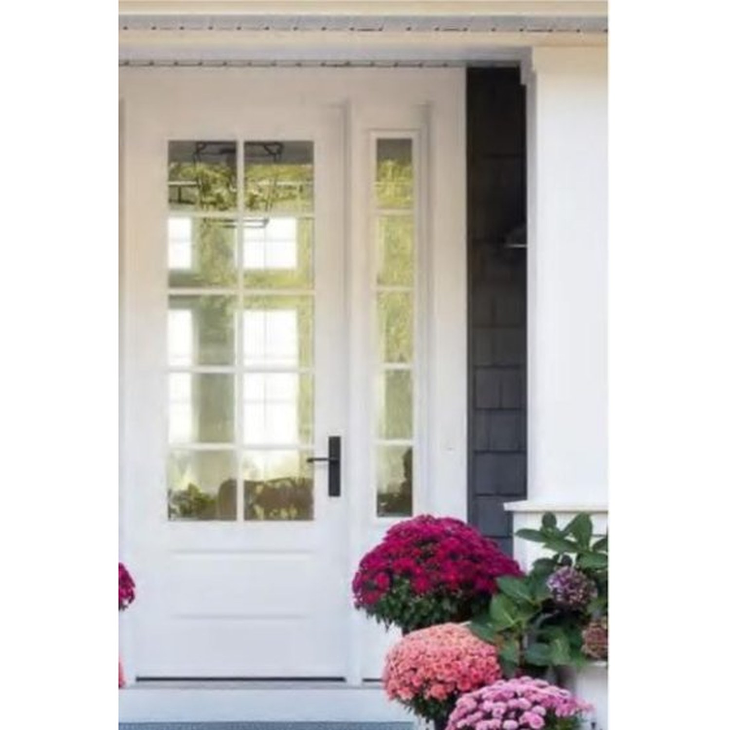 BUILD SOURCE™ Traditional White Ten Lite Door with Sidelite EA-0034 — 8" x 12" Sample