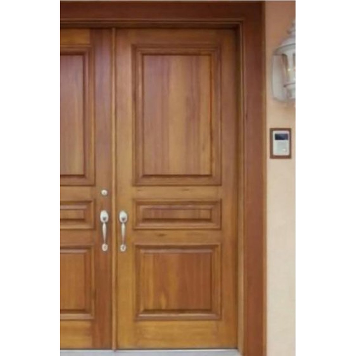 BUILD SOURCE™ Classic Warm Teak Raised Panel Double Door EA-0056 — 8" x 12" Sample