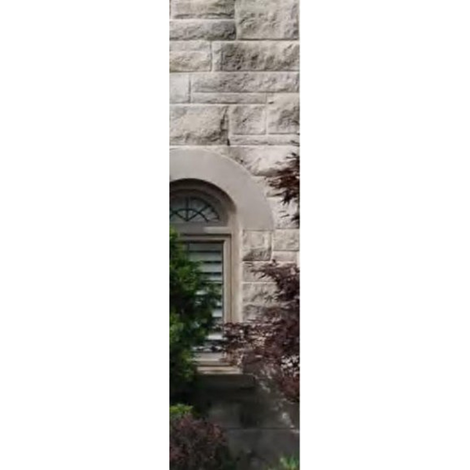 BUILD SOURCE™ Traditional Arched Entry Door with Transom EA-0113 — 8" x 12" Sample