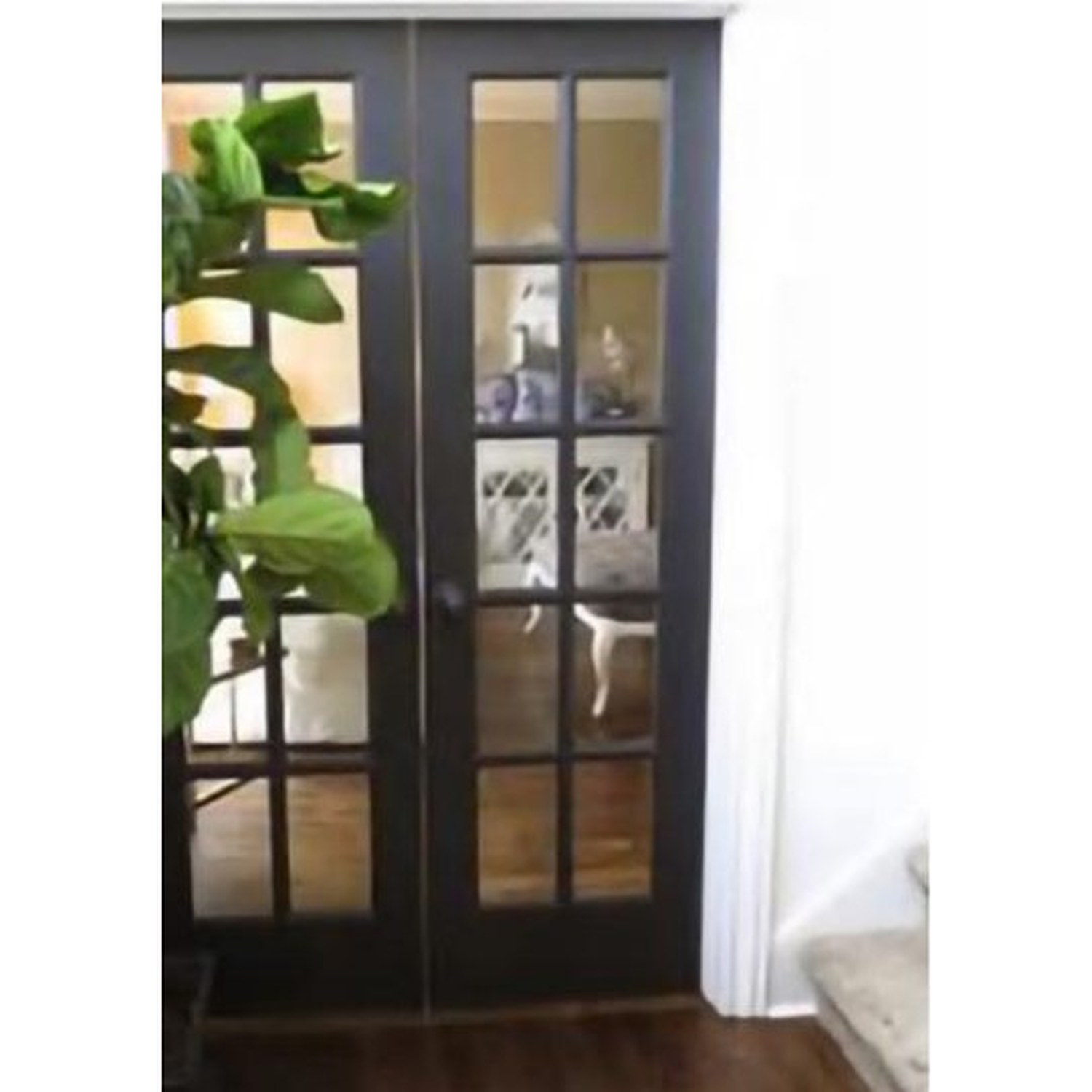 BUILD SOURCE™ Modern Matte Black 10 Lite Double French Door FB-0013 — 8" x 12" Sample