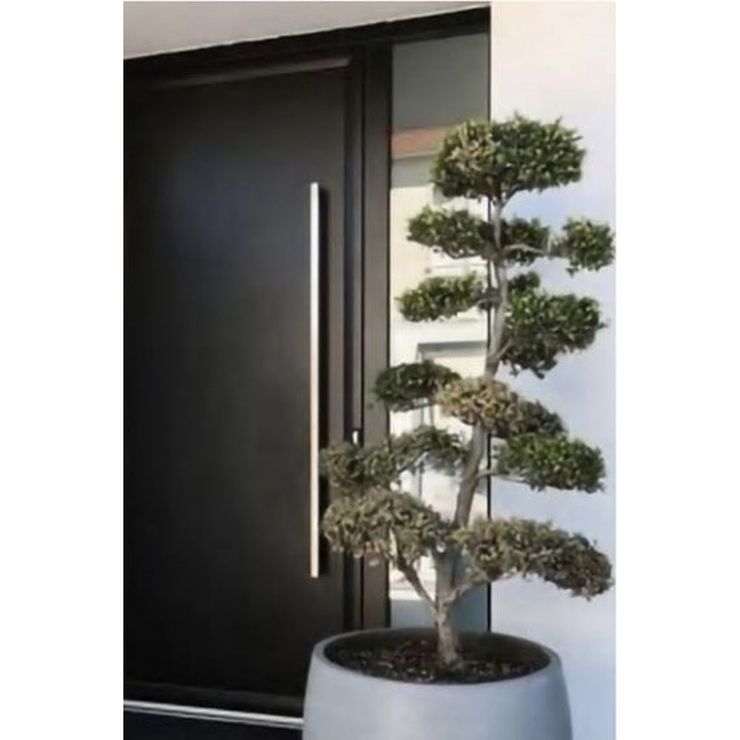 BUILD SOURCE™ Interior Door IA-0041 — 8" x 12" Sample
