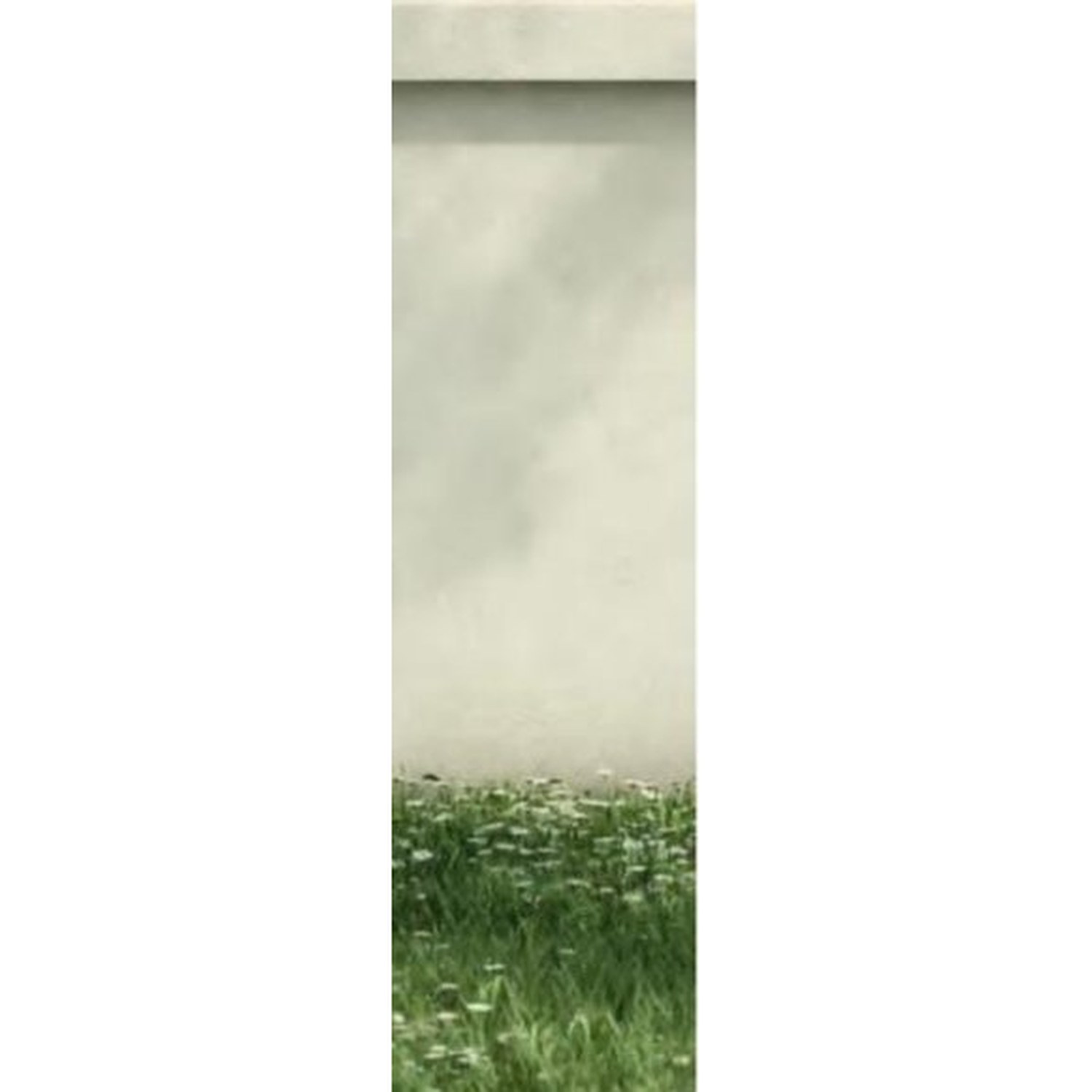 BUILD SOURCE™ Security Steel Door SA-0069 — 8" x 12" Sample