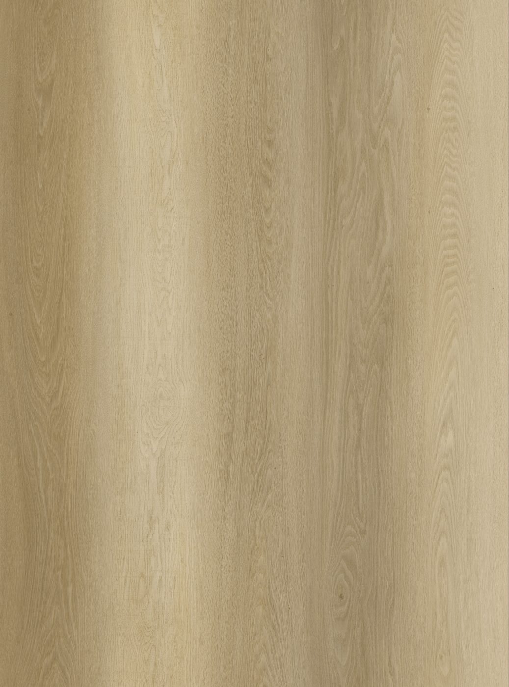 BUILD SOURCE™ SPC / LVP Vinyl Flooring — Harvest Amber Oak BC1002 — 8" x 12" Sample