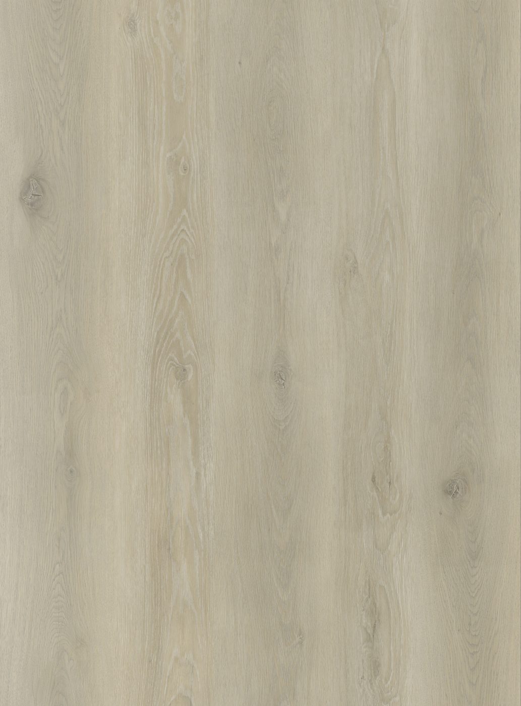 BUILD SOURCE™ SPC / LVP Vinyl Flooring — Coastal Greige Oak BC1003 — 8" x 12" Sample