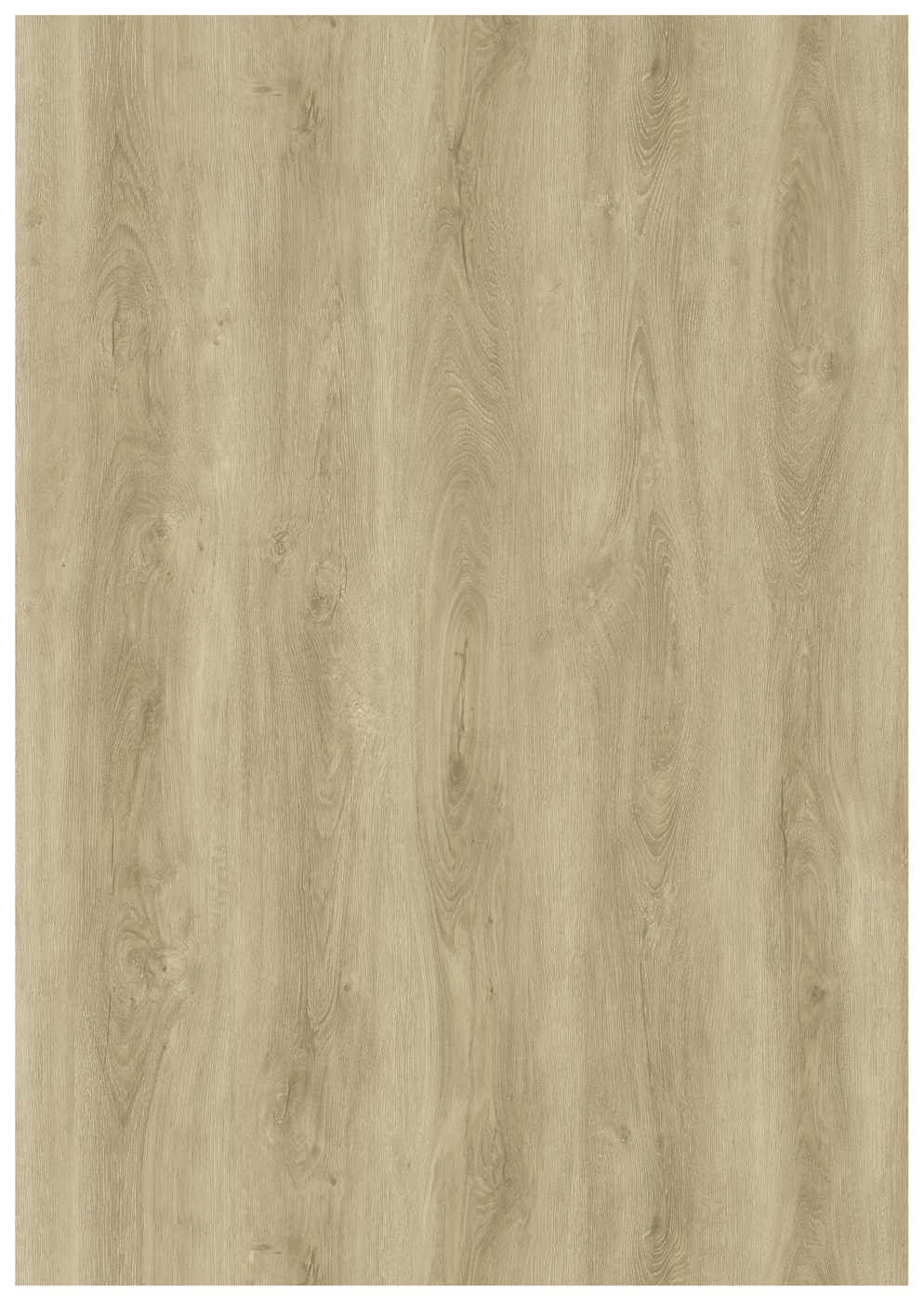 BUILD SOURCE™ SPC / LVP Vinyl Flooring — Honey Ridge Oak BC1007 — 8" x 12" Sample