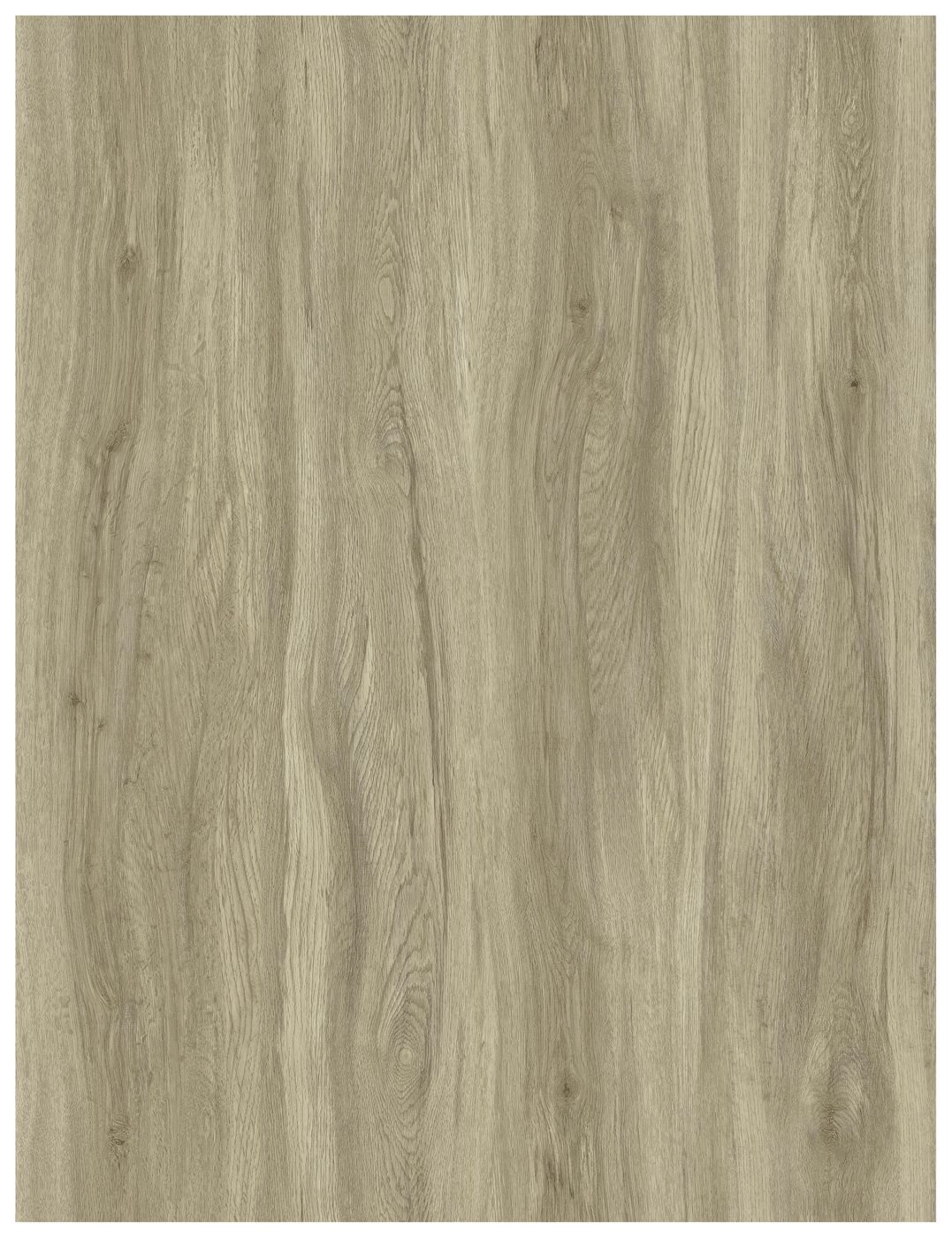 BUILD SOURCE™ SPC / LVP Vinyl Flooring — Olive Ash Oak BC1011 — 8" x 12" Sample