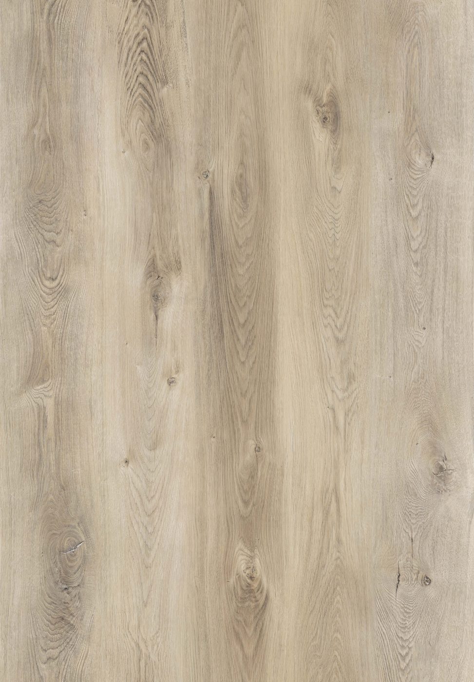 BUILD SOURCE™ SPC / LVP Vinyl Flooring — Natural Oat Oak BC1013 — 8" x 12" Sample
