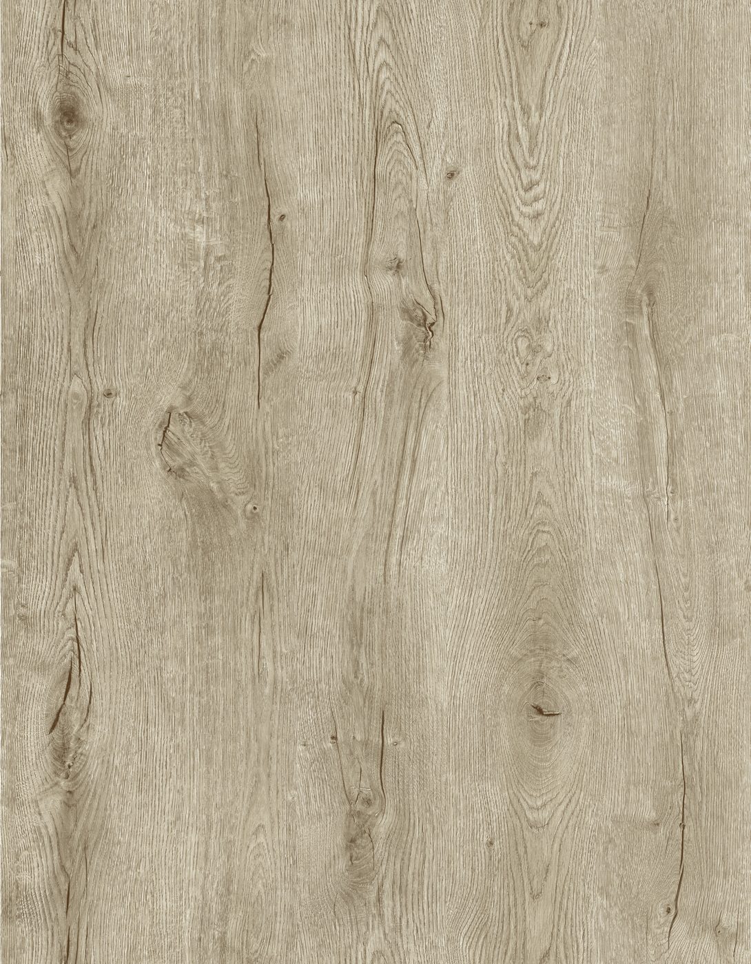 BUILD SOURCE™ SPC / LVP Vinyl Flooring — Dune Grey Oak BC1016 — 8" x 12" Sample