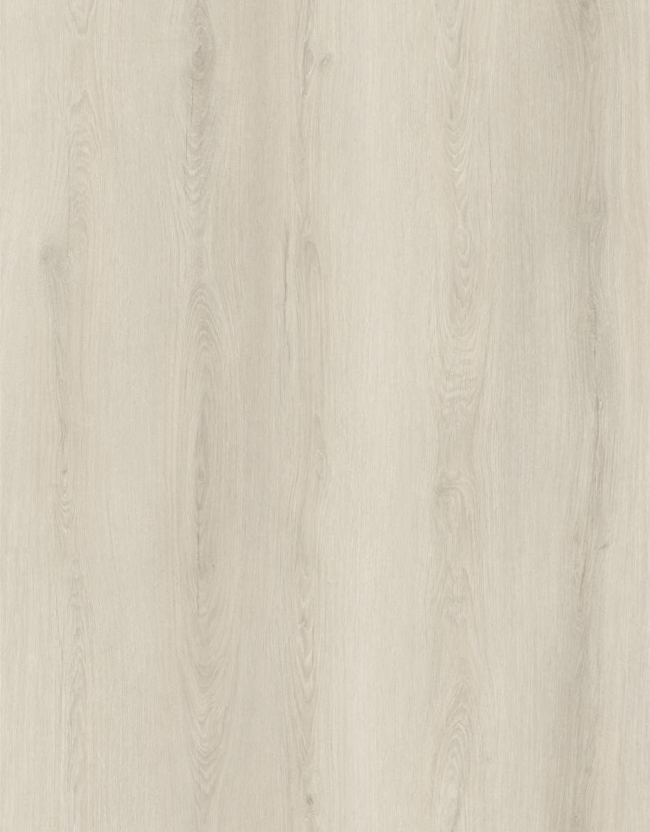BUILD SOURCE™ SPC / LVP Vinyl Flooring — Chalk Beige Oak BC1020 — 8" x 12" Sample