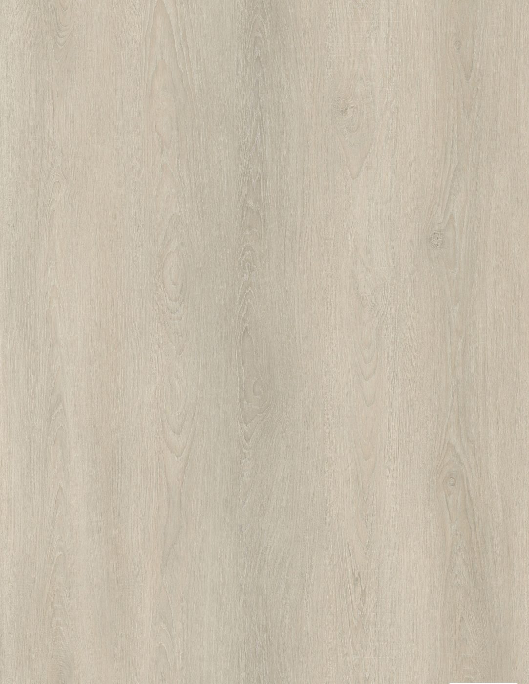 BUILD SOURCE™ SPC / LVP Vinyl Flooring — Vanilla Cream Oak BC1021 — 8" x 12" Sample