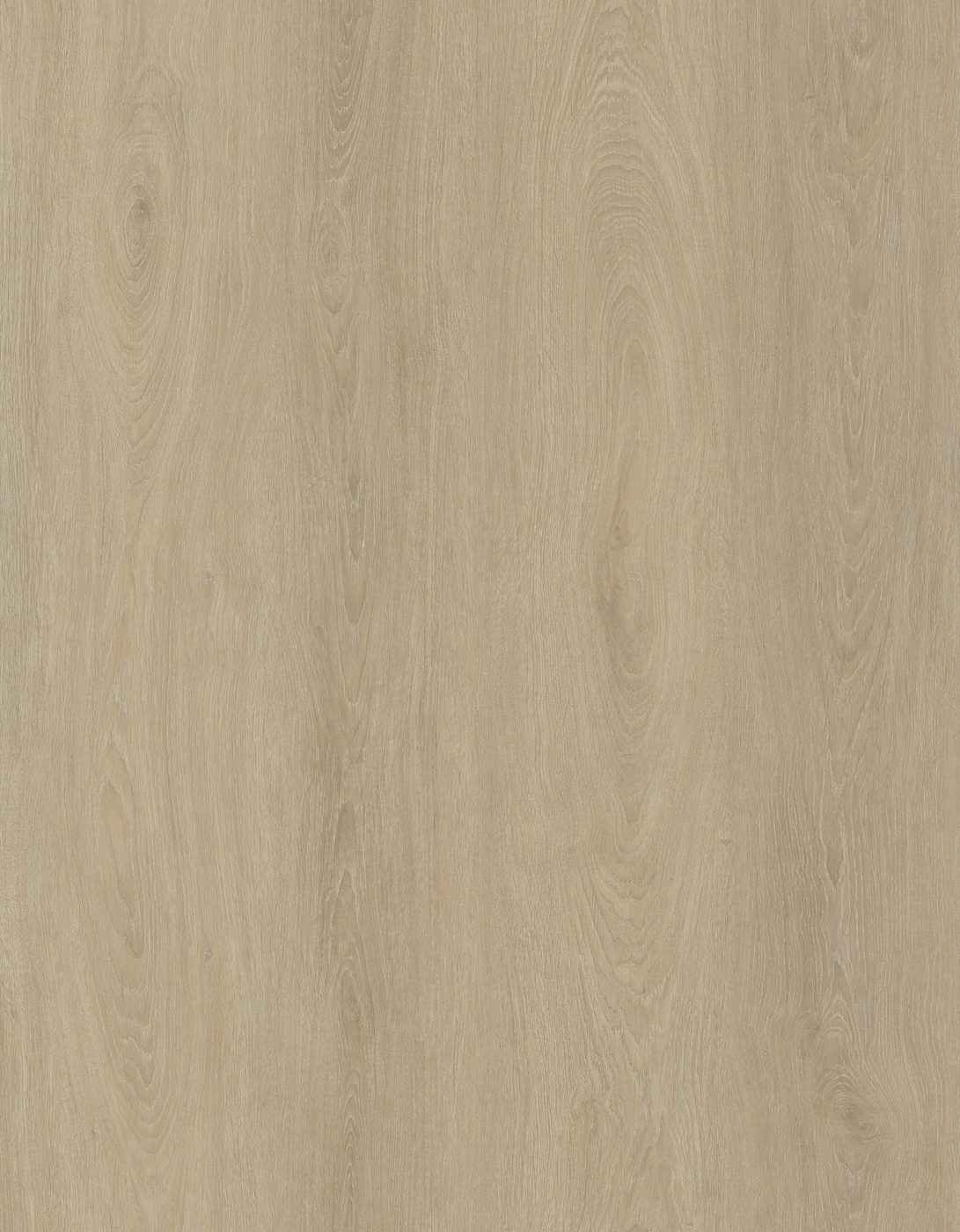 BUILD SOURCE™ SPC / LVP Vinyl Flooring — Rustic Clay Oak BC1023 — 8" x 12" Sample