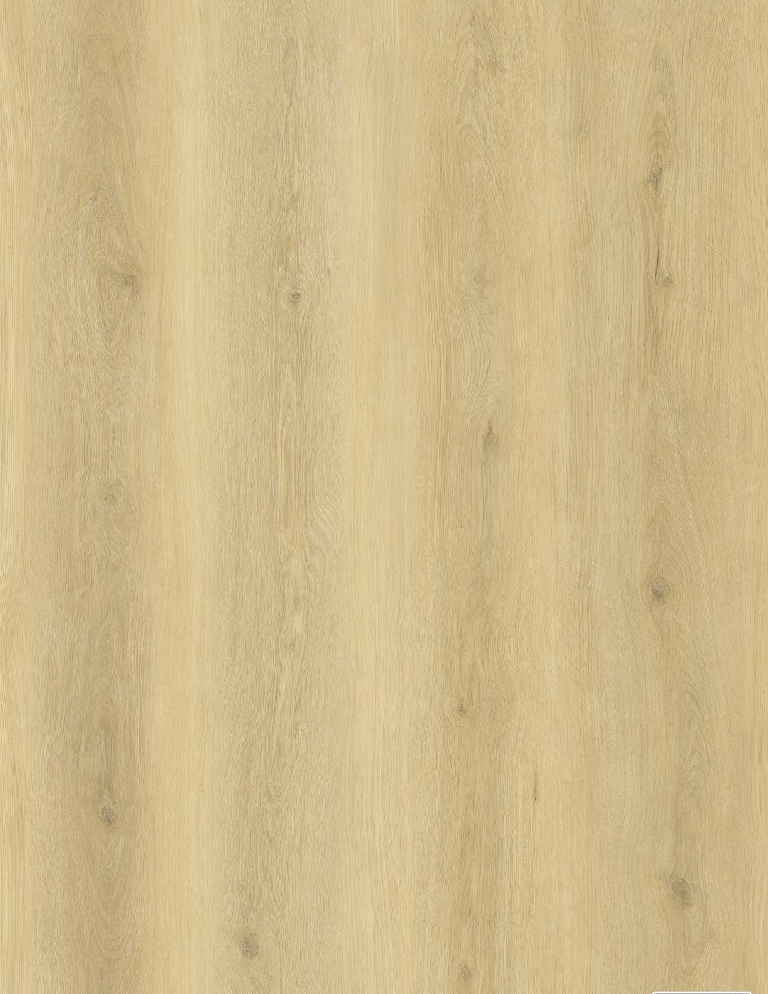 BUILD SOURCE™ SPC / LVP Vinyl Flooring — Golden Hay Oak BC1024 — 8" x 12" Sample