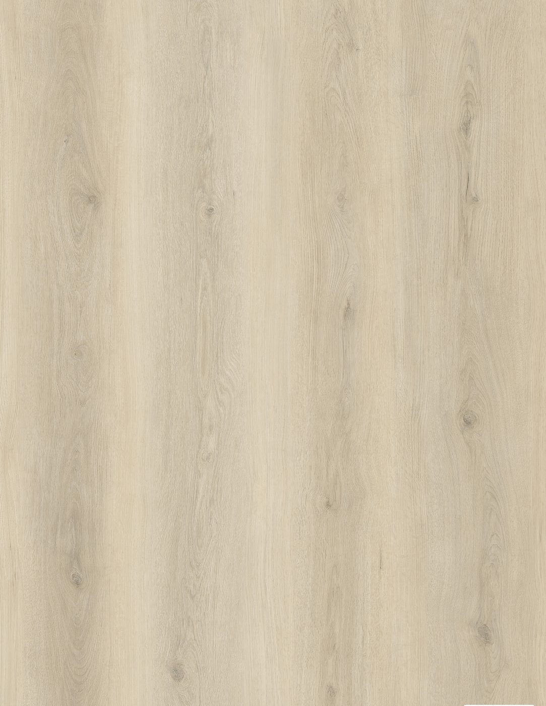 BUILD SOURCE™ SPC / LVP Vinyl Flooring — Champagne Oak BC1025 — 8" x 12" Sample