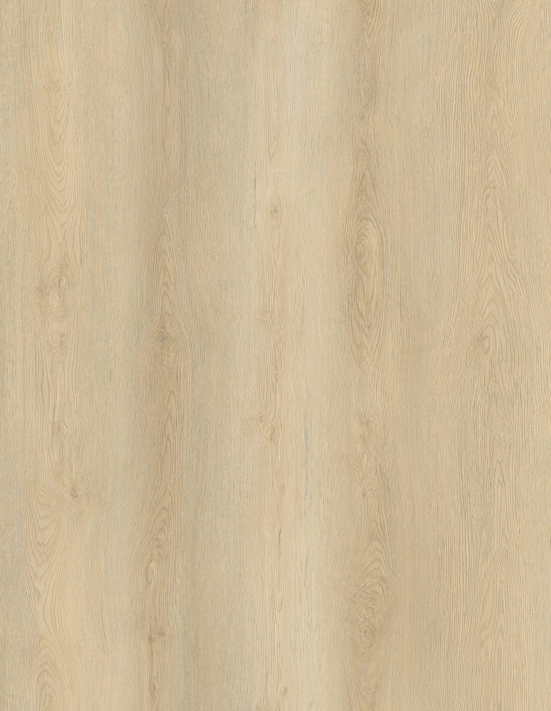 BUILD SOURCE™ SPC / LVP Vinyl Flooring — Caramel Sand Oak BC1028 — 8" x 12" Sample
