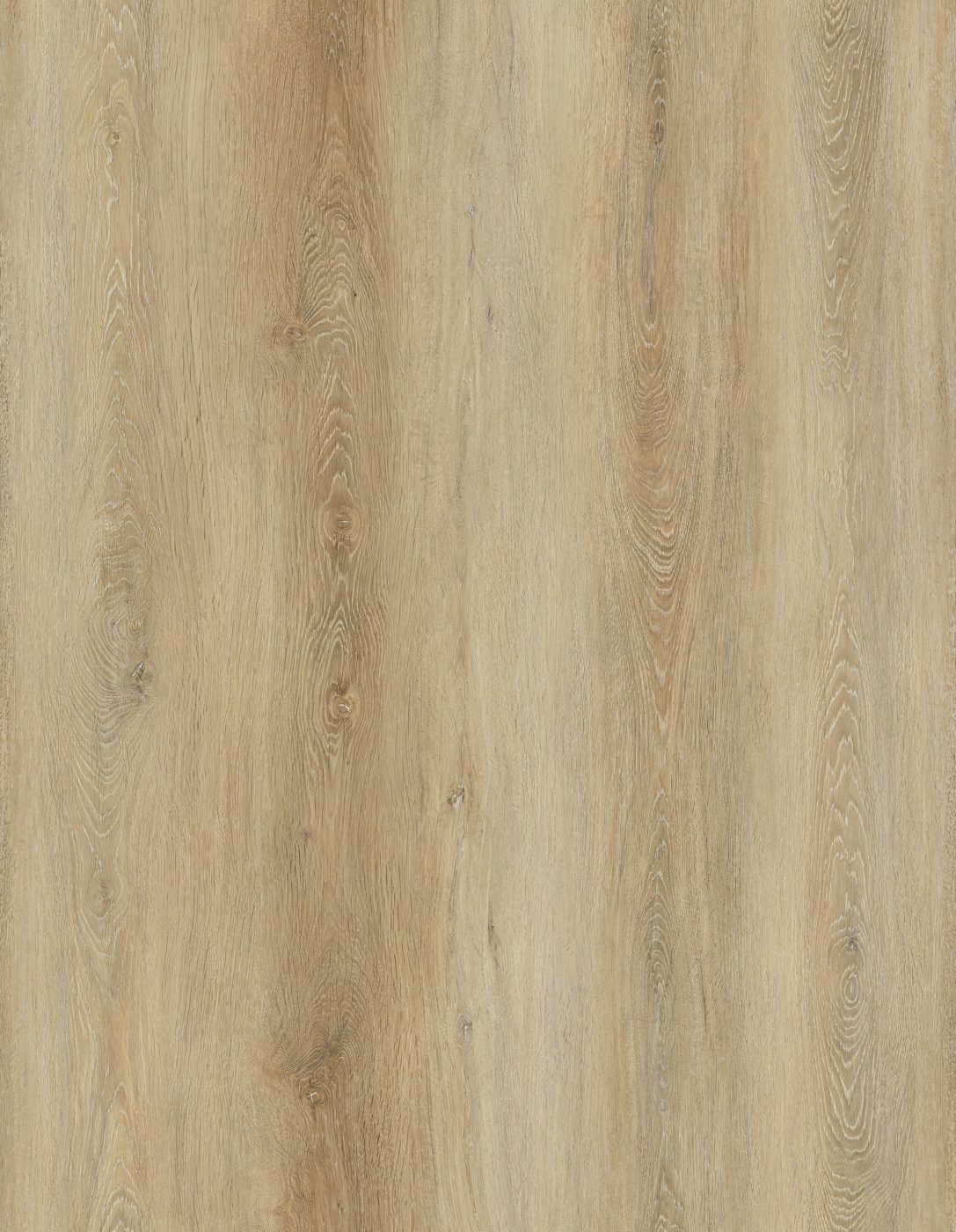 BUILD SOURCE™ SPC / LVP Vinyl Flooring — Bourbon Wheat Oak BC1030 — 8" x 12" Sample