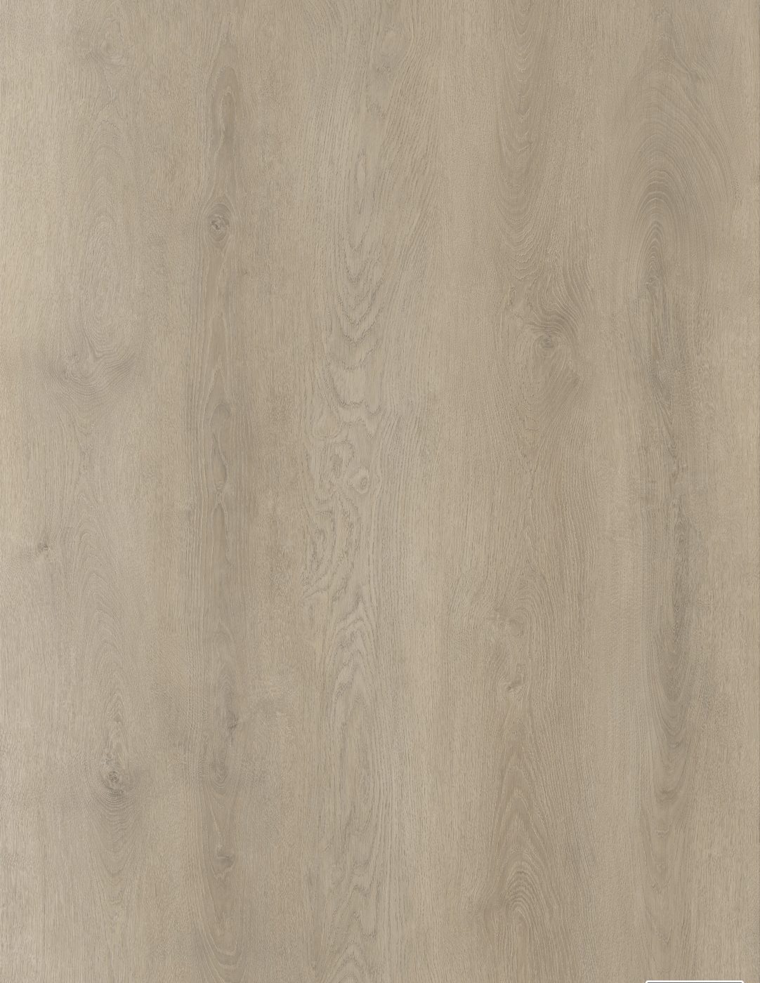 BUILD SOURCE™ SPC / LVP Vinyl Flooring — Pebble Taupe Oak BC1031 — 8" x 12" Sample