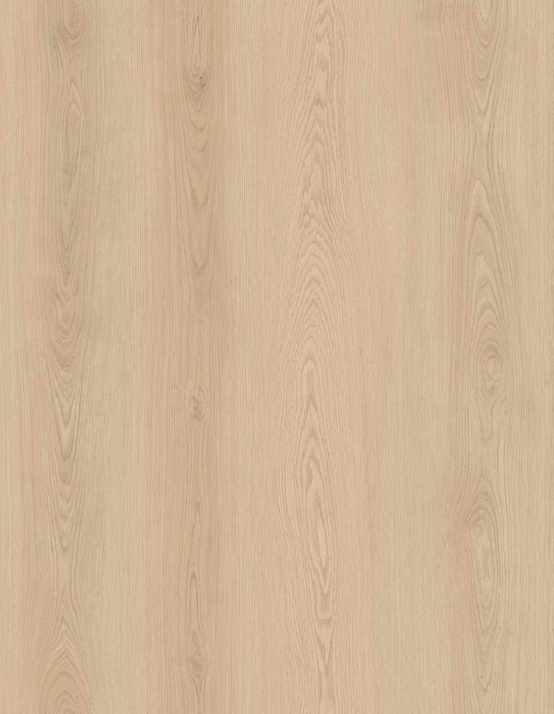BUILD SOURCE™ SPC / LVP Vinyl Flooring — Sahara Gold Oak BC1033 — 8" x 12" Sample