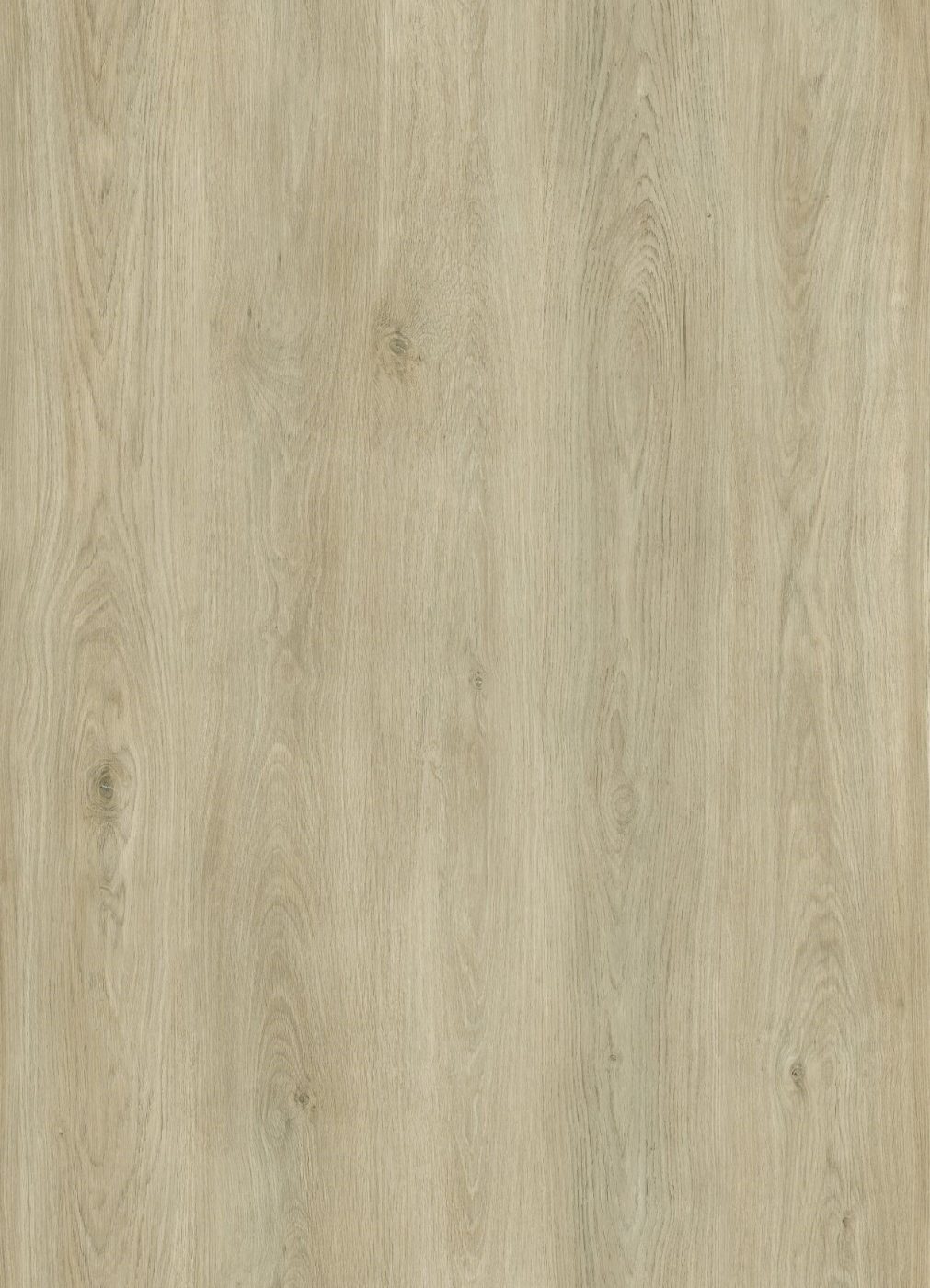 BUILD SOURCE™ SPC / LVP Vinyl Flooring — Meadow Straw Oak BC1034 — 8" x 12" Sample