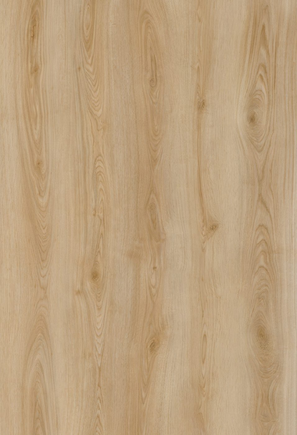 BUILD SOURCE™ SPC / LVP Vinyl Flooring — Copper Birch Oak BC1035 — 8" x 12" Sample