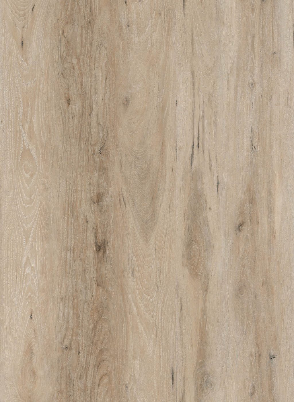 BUILD SOURCE™ SPC / LVP Vinyl Flooring — Cashmere Oak BC1036 — 8" x 12" Sample