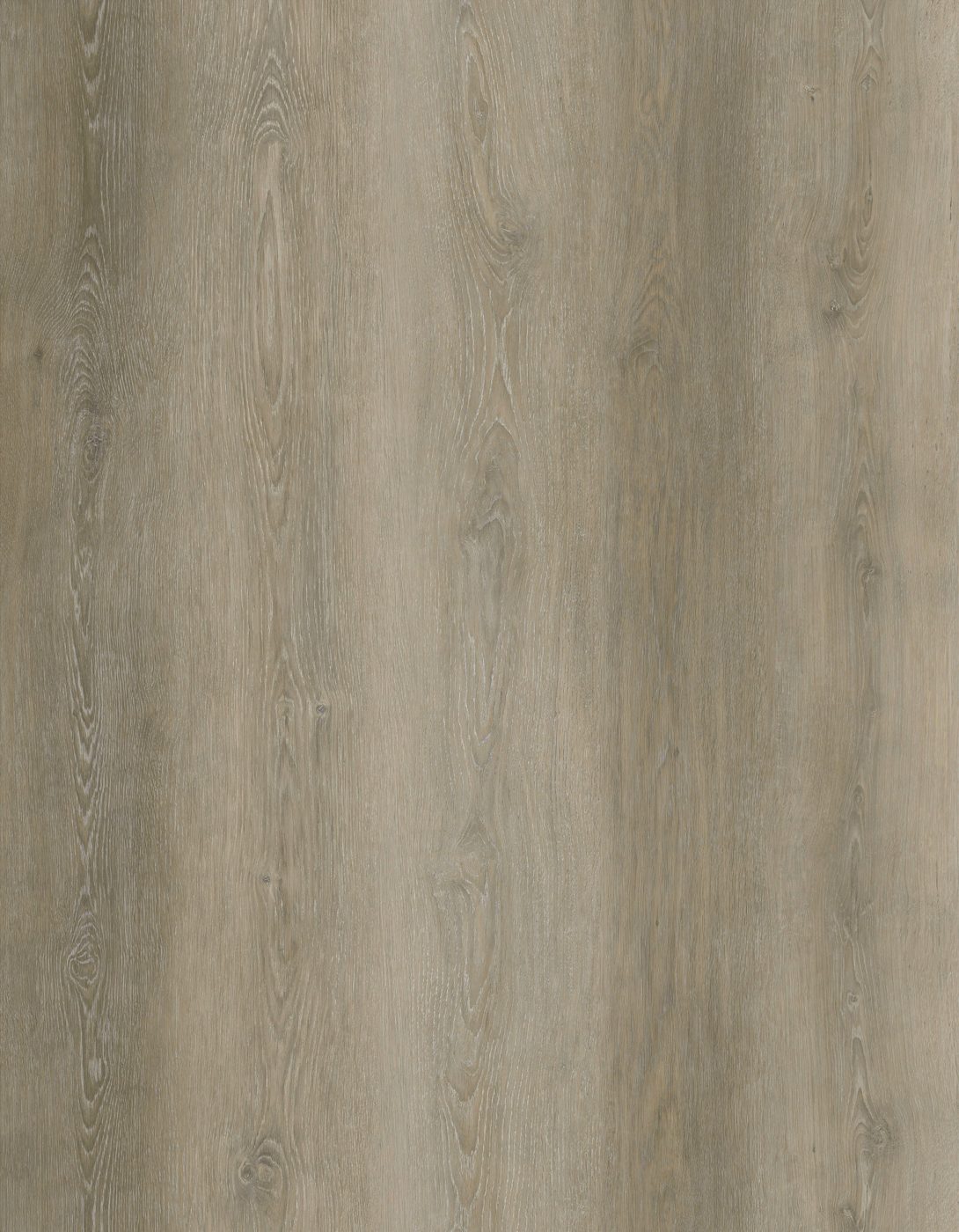 BUILD SOURCE™ SPC / LVP Vinyl Flooring — Charred Grey Oak BC1038 — 8" x 12" Sample