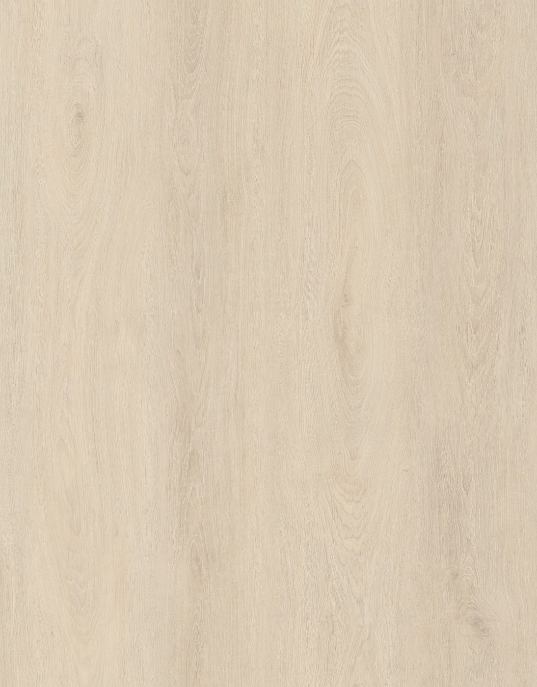 BUILD SOURCE™ SPC / LVP Vinyl Flooring — Cotton Sand Oak BC1040 — 8" x 12" Sample