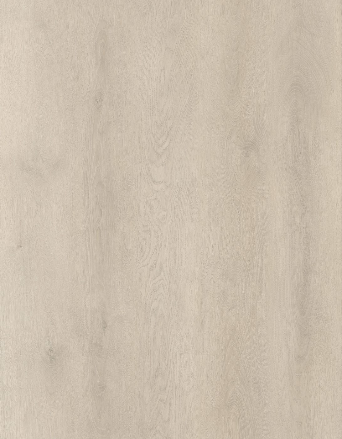 BUILD SOURCE™ SPC / LVP Vinyl Flooring — Alabaster Oak BC1042 — 8" x 12" Sample