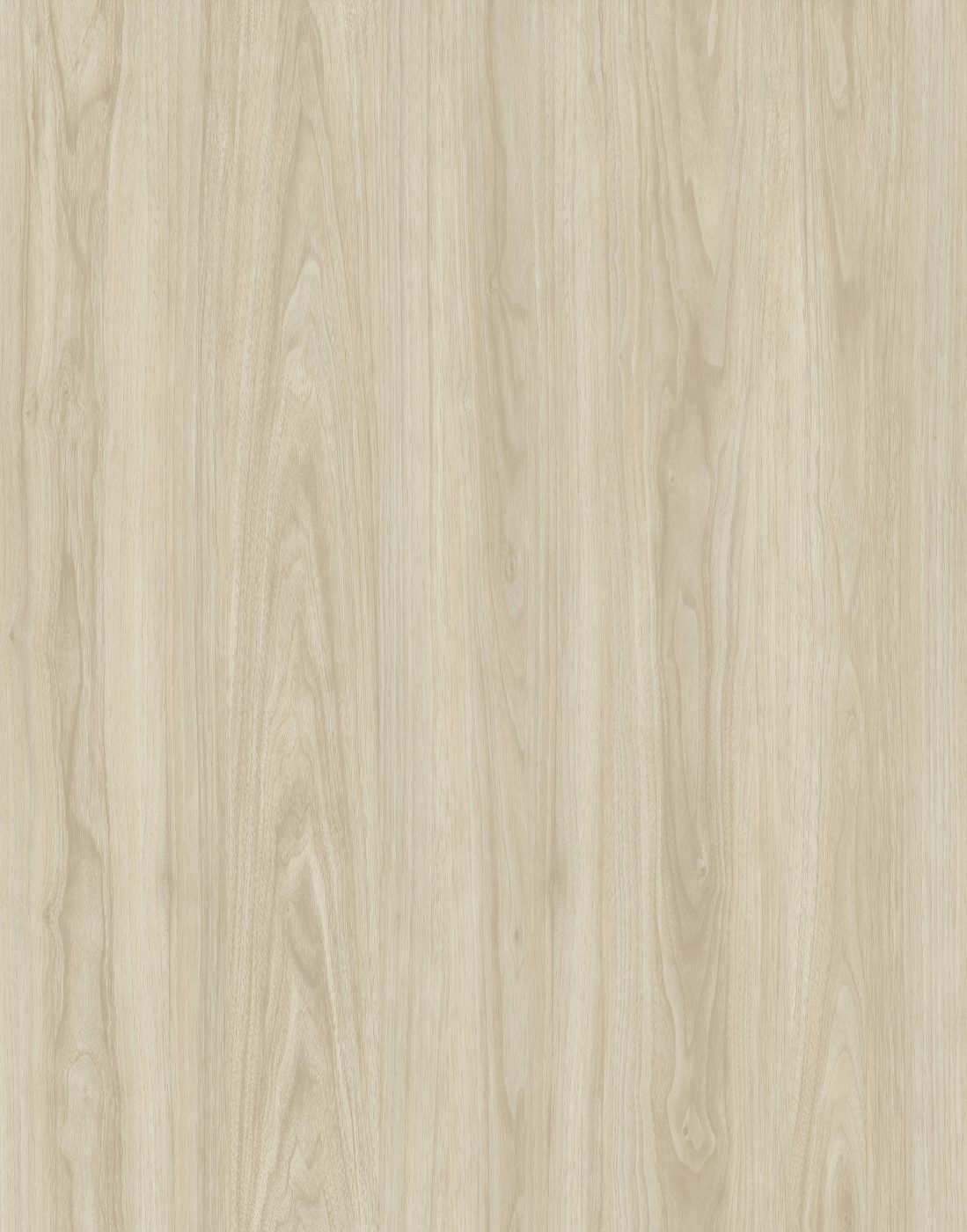 BUILD SOURCE™ SPC / LVP Vinyl Flooring — Buttermilk Oak BC1049 — 8" x 12" Sample