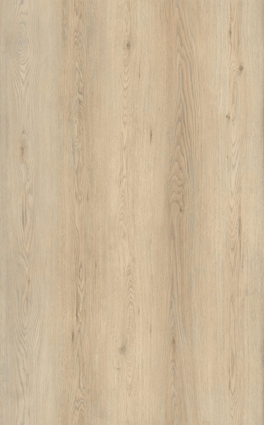 BUILD SOURCE™ SPC / LVP Vinyl Flooring — Sandbar Oak BC1052 — 8" x 12" Sample