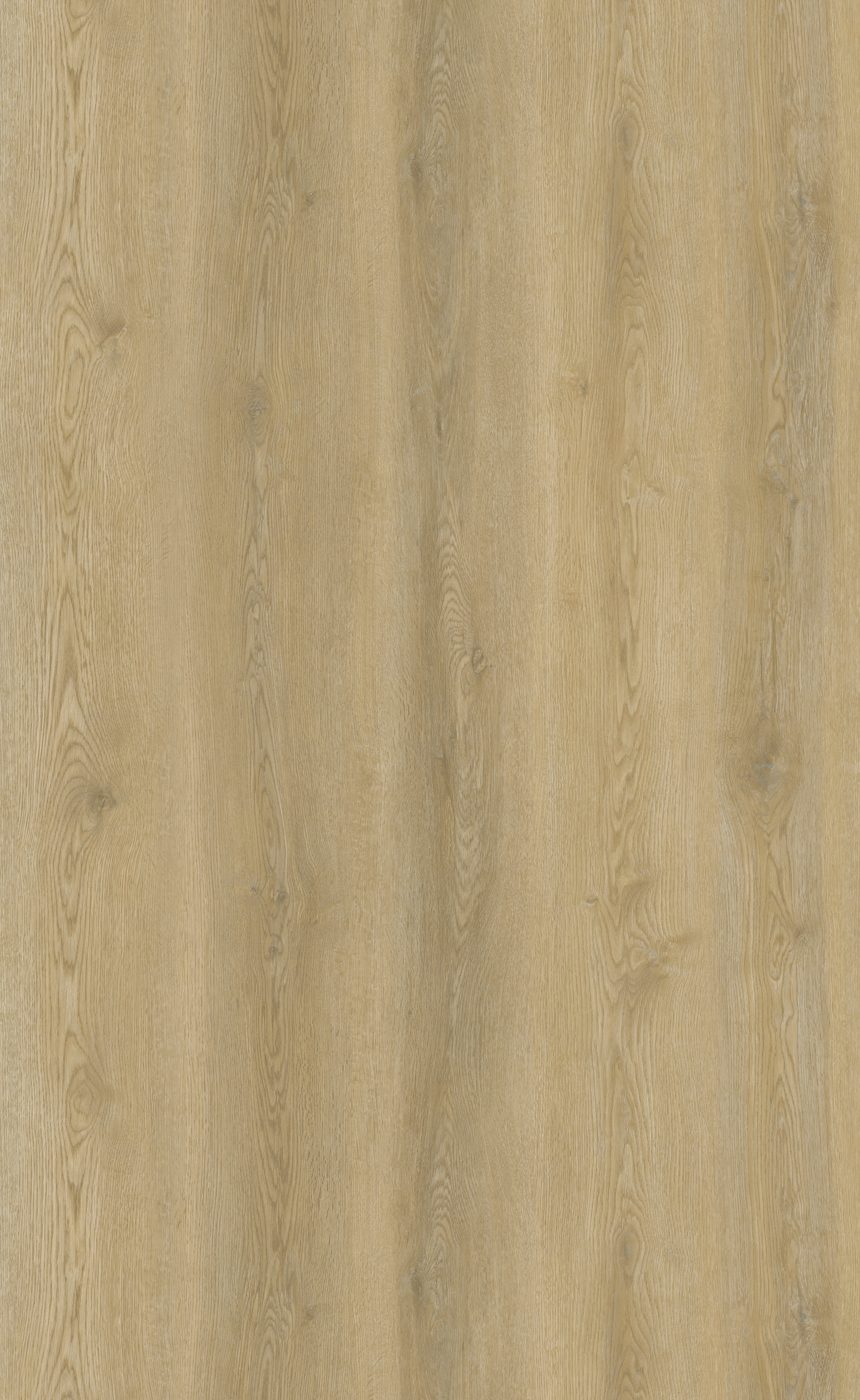 BUILD SOURCE™ SPC / LVP Vinyl Flooring — Prairie Gold Oak BC1056 — 8" x 12" Sample